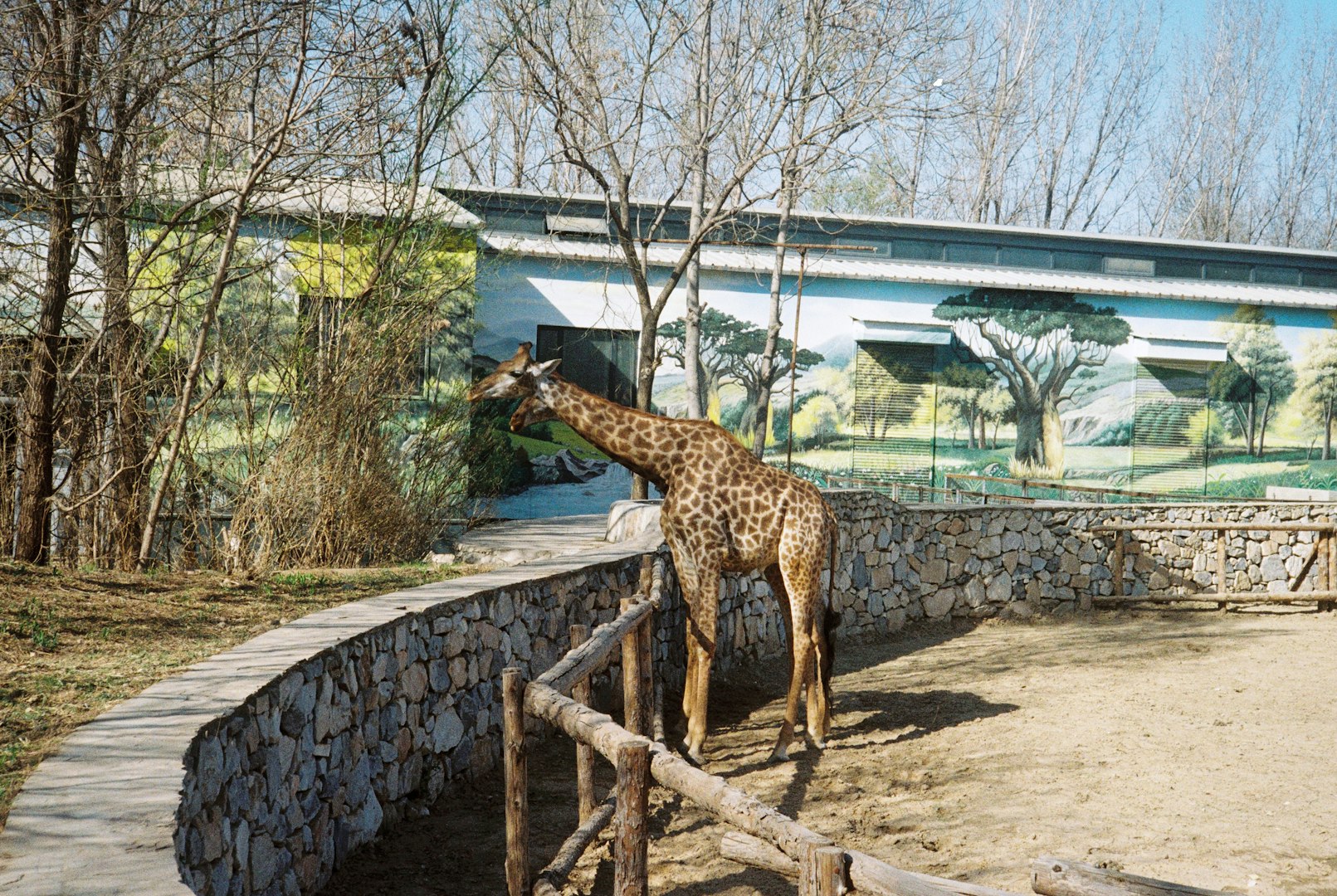 Termální koupele, Vysoké Tatry